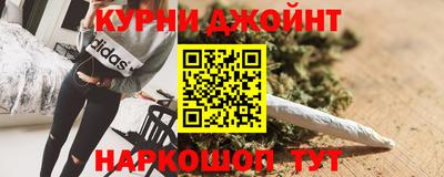 крисы Кингисепп