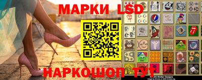крисы Кингисепп