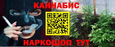 крисы Кингисепп