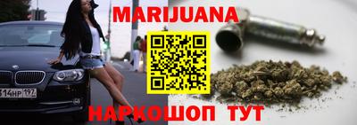 крисы Кингисепп