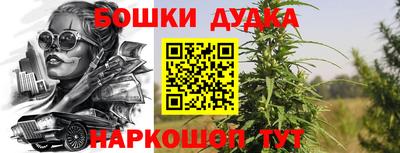 гидра Кимры