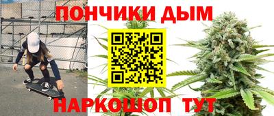 крисы Кингисепп