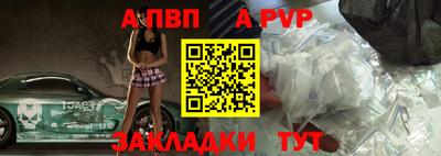 крисы Кингисепп