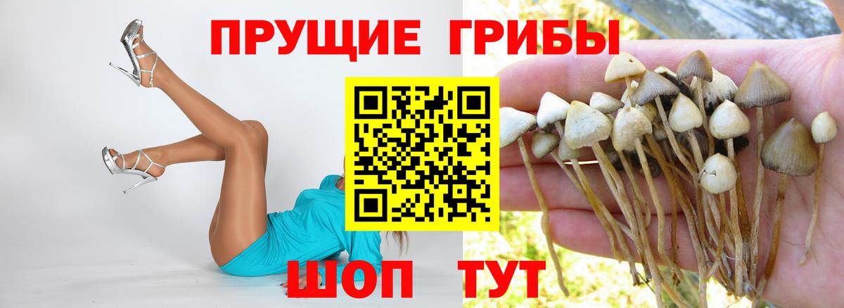 Новый Уренгой  Галлюциногенные грибы MAGIC MUSHROOMS  Вход с VPN  Галлюциногенные грибы Magic Shrooms 