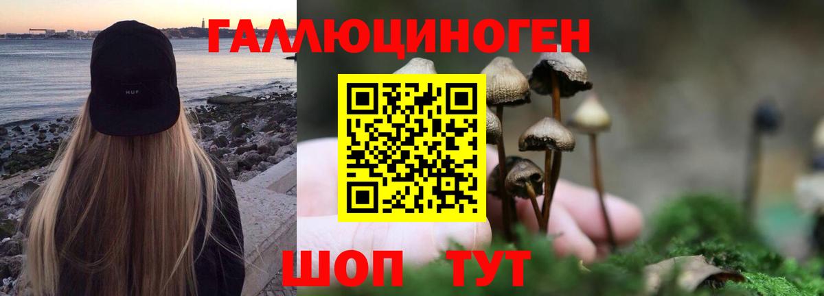 Псилоцибиновые грибы Psilocybe Новый Уренгой